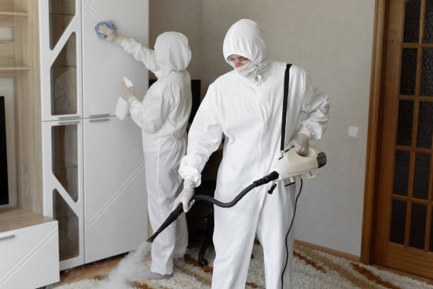 Attic Mold Removal in Robinson, TX