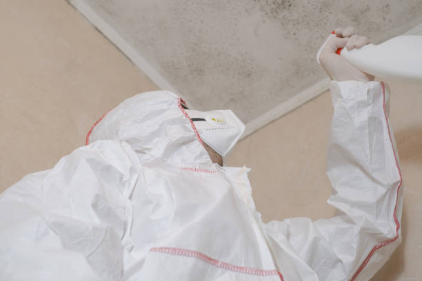 Best Mold Remediation  in Robinson, TX