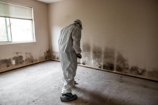 Best Office Mold Removal Services  in Robinson, TX