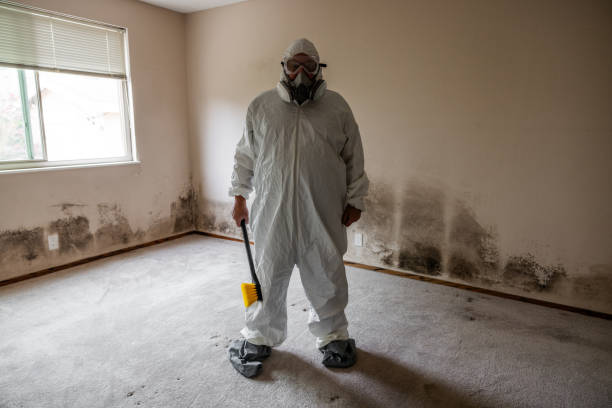 Best Emergency Mold Removal  in Robinson, TX