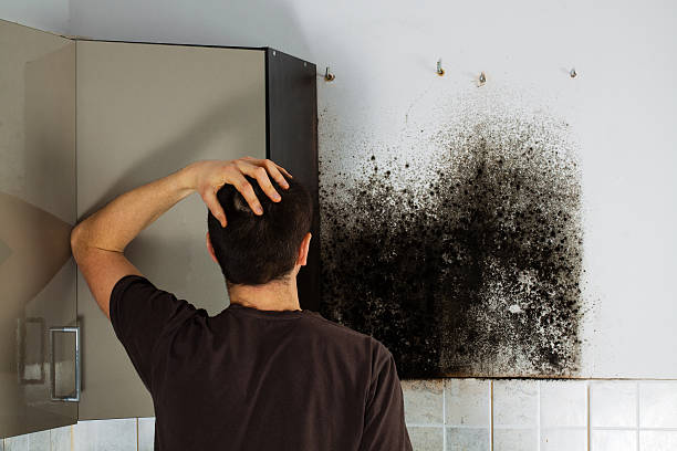  Robinson, TX Mold Removal Pros