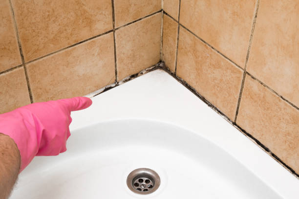 Best Mold Removal Process  in Robinson, TX